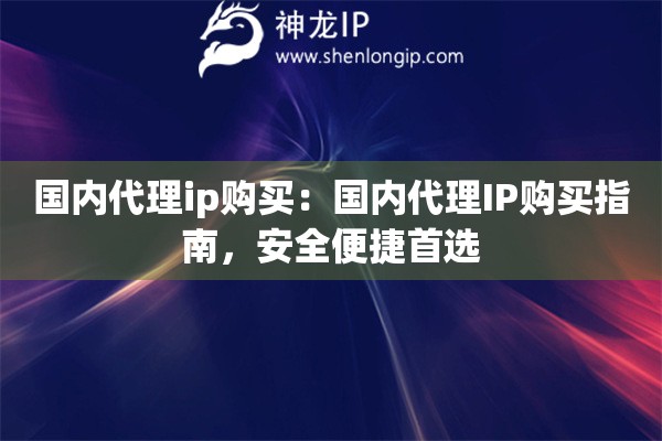 国内代理ip购买：国内代理IP购买指南，安全便捷首选