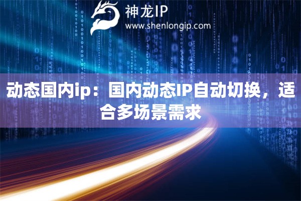 动态国内ip：国内动态IP自动切换，适合多场景需求