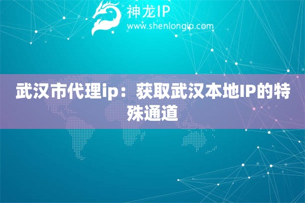 武汉市代理ip：获取武汉本地IP的特殊通道