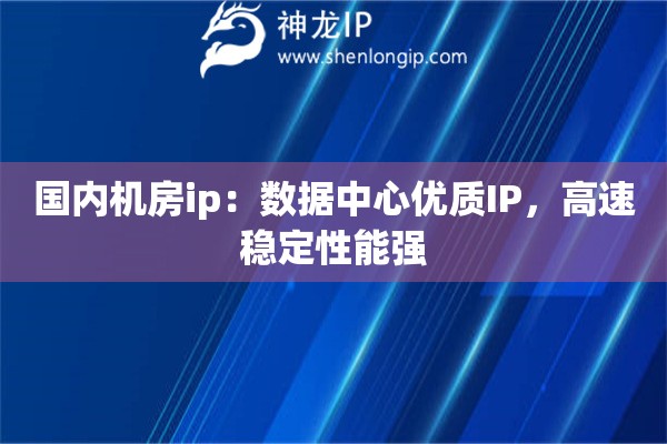 国内机房ip：数据中心优质IP，高速稳定性能强