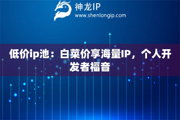 低价ip池：白菜价享海量IP，个人开发者福音