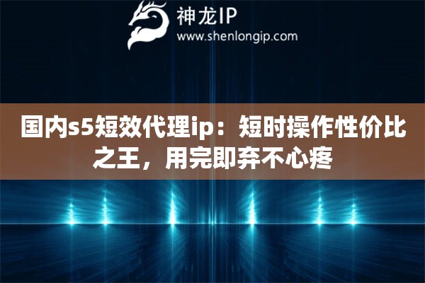 国内s5短效代理ip：短时操作性价比之王，用完即弃不心疼