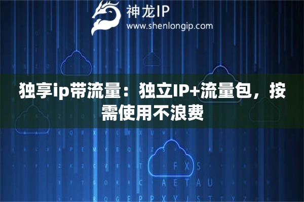 独享ip带流量：独立IP+流量包，按需使用不浪费