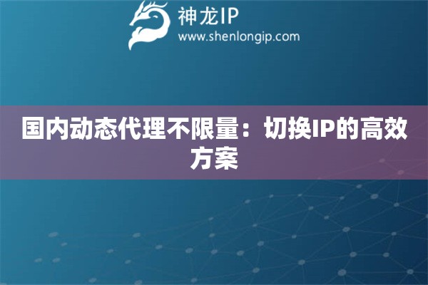 国内动态代理不限量：切换IP的高效方案