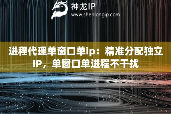 进程代理单窗口单ip：精准分配独立IP，单窗口单进程不干扰
