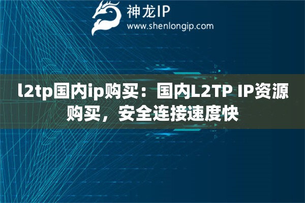 l2tp国内ip购买：国内L2TP IP资源购买，安全连接速度快