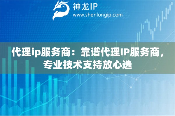 代理ip服务商：靠谱代理IP服务商，专业技术支持放心选