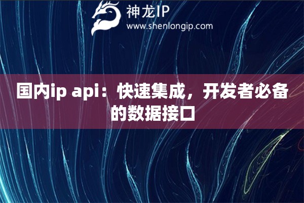 国内ip api：快速集成，开发者必备的数据接口