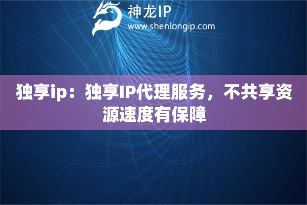 独享ip：独享IP代理服务，不共享资源速度有保障