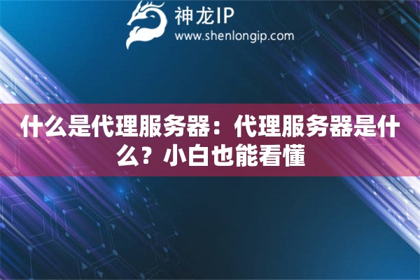 什么是代理服务器：代理服务器是什么？小白也能看懂