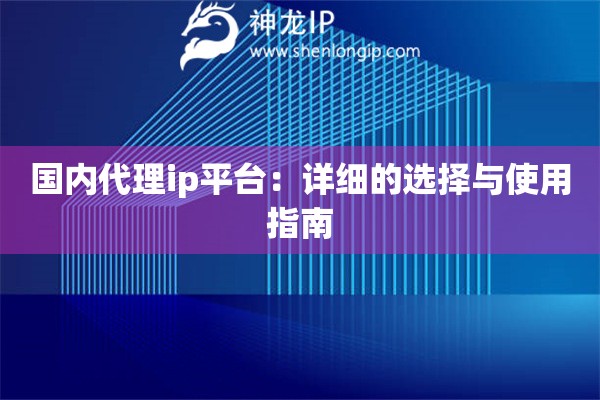 国内代理ip平台：详细的选择与使用指南