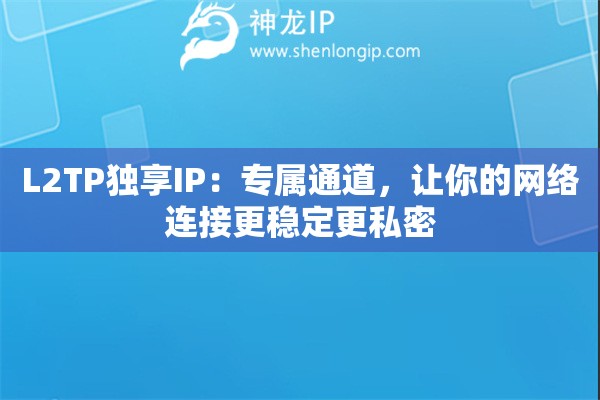 L2TP独享IP：专属通道，让你的网络连接更稳定更私密
