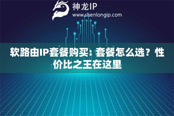 软路由IP套餐购买: 套餐怎么选？性价比之王在这里