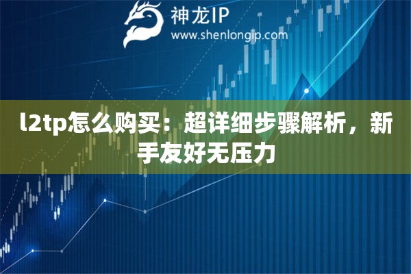 l2tp怎么购买：超详细步骤解析，新手友好无压力