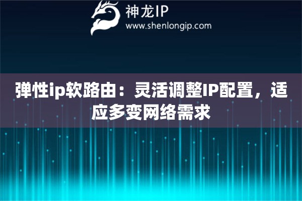 弹性ip软路由：灵活调整IP配置，适应多变网络需求