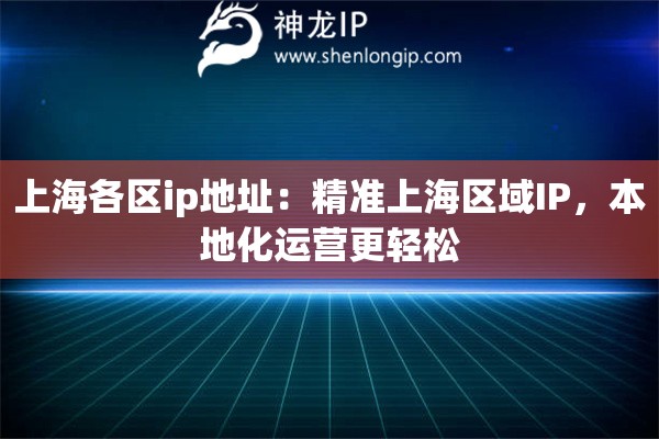 上海各区ip地址：精准上海区域IP，本地化运营更轻松
