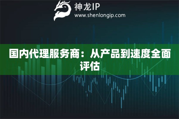 国内代理服务商：从产品到速度全面评估
