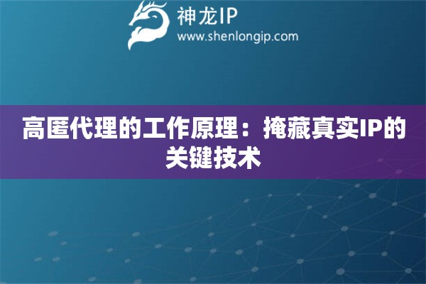 高匿代理的工作原理：掩藏真实IP的关键技术