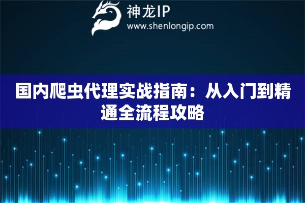 国内爬虫代理实战指南：从入门到精通全流程攻略