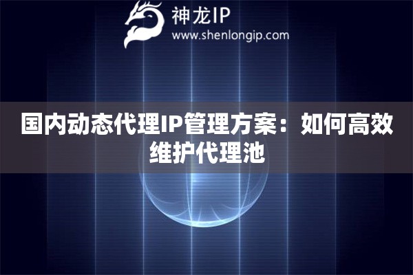 国内动态代理IP管理方案：如何高效维护代理池