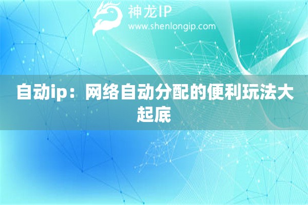 自动ip：网络自动分配的便利玩法大起底