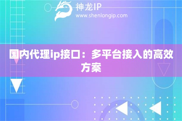 国内代理ip接口：多平台接入的高效方案