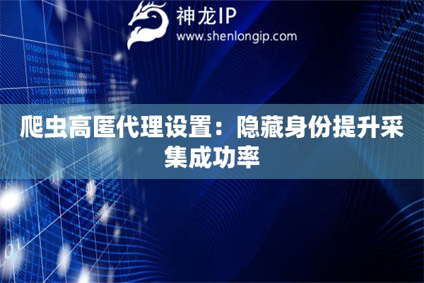 爬虫高匿代理设置：隐藏身份提升采集成功率