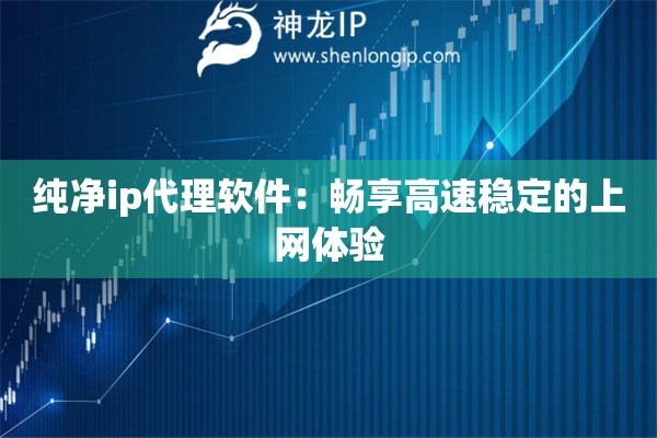 纯净ip代理软件：畅享高速稳定的上网体验