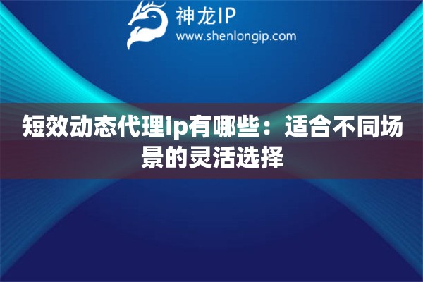 短效动态代理ip有哪些：适合不同场景的灵活选择