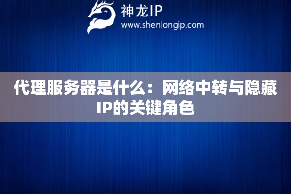 代理服务器是什么：网络中转与隐藏IP的关键角色