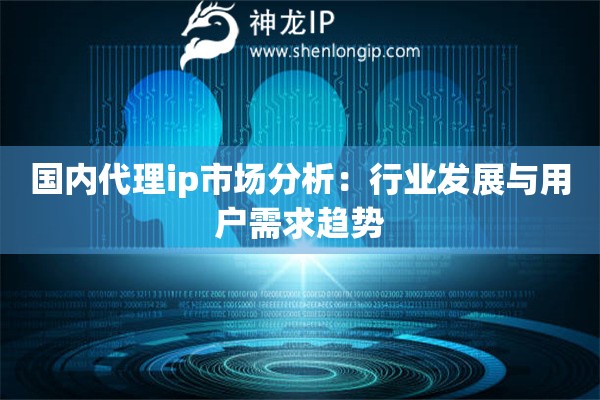 国内代理ip市场分析：行业发展与用户需求趋势