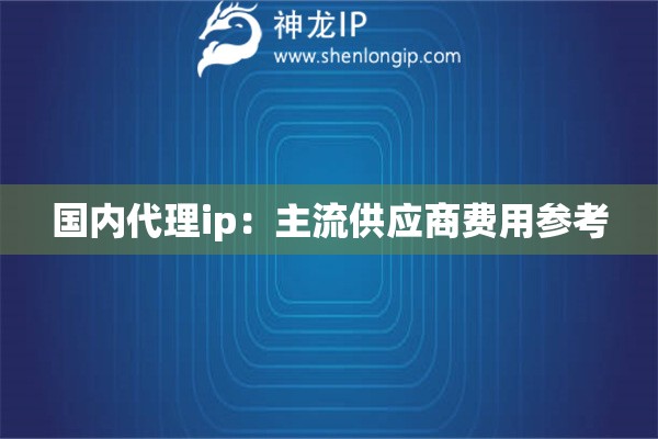 国内代理ip：主流供应商费用参考