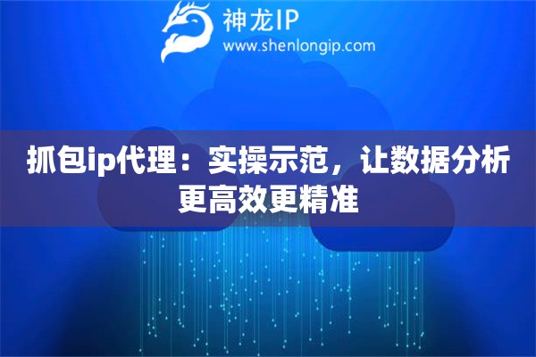 抓包ip代理：实操示范，让数据分析更高效更精准