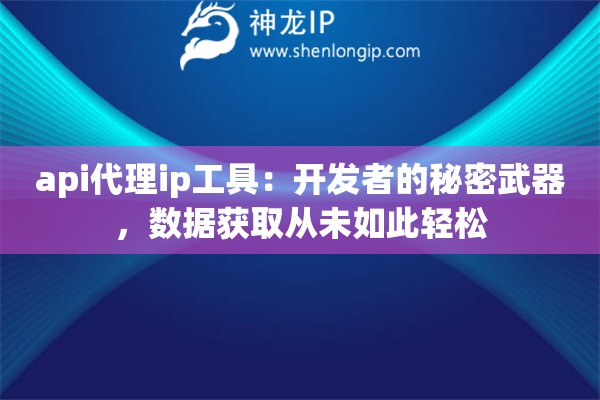 api代理ip工具：开发者的秘密武器，数据获取从未如此轻松