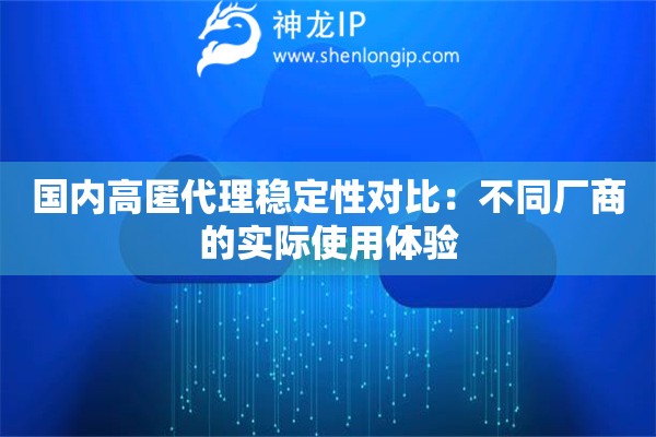 国内高匿代理稳定性对比：不同厂商的实际使用体验