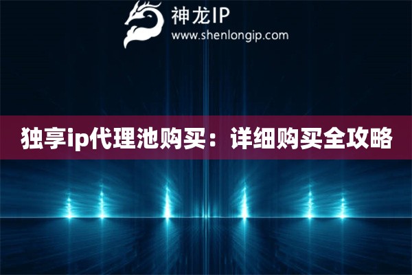 独享ip代理池购买：详细购买全攻略
