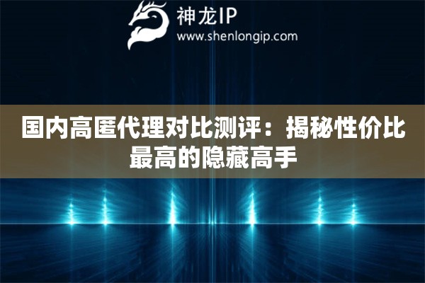 国内高匿代理对比测评:揭秘性价比最高的隐藏高手 国内高匿代理对比测评:揭秘性价比最高的隐藏高手