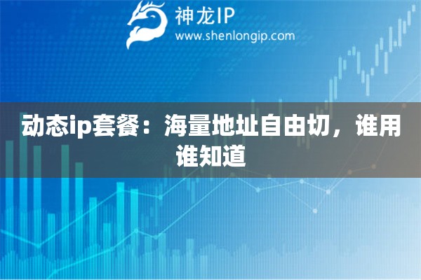 动态ip套餐:海量地址自由切,谁用谁知道 动态ip套餐:海量地址自由切,谁用谁知道