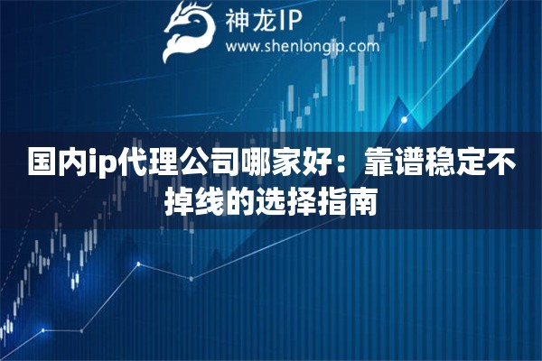 国内ip代理公司哪家好:靠谱稳定不掉线的选择指南 国内ip代理公司哪家好:靠谱稳定不掉线的选择指南