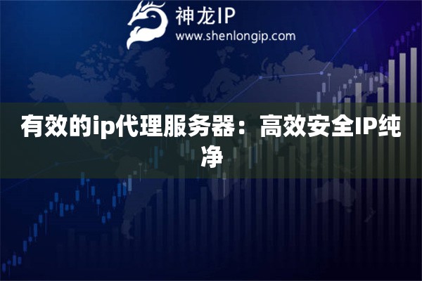有效的ip代理服务器：高效安全IP纯净