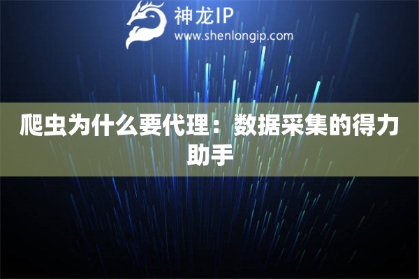 爬虫为什么要代理：数据采集的得力助手