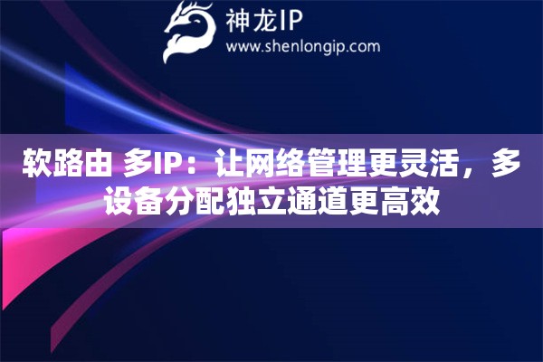 软路由 多IP:让网络管理更灵活,多设备分配独立通道更高效 软路由 多IP:让网络管理更灵活,多设备分配独立通道更高效