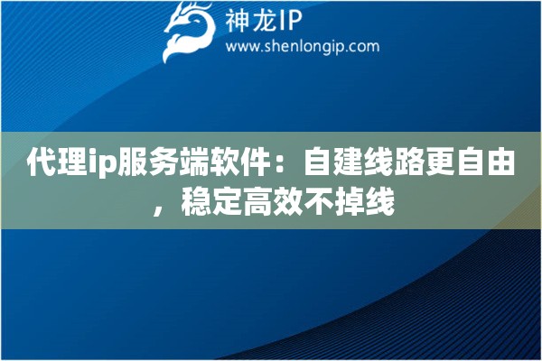 代理ip服务端软件:自建线路更自由,稳定高效不掉线 代理ip服务端软件:自建线路更自由,稳定高效不掉线