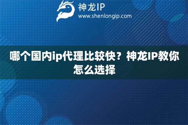 哪个国内ip代理比较快？神龙IP教你怎么选择