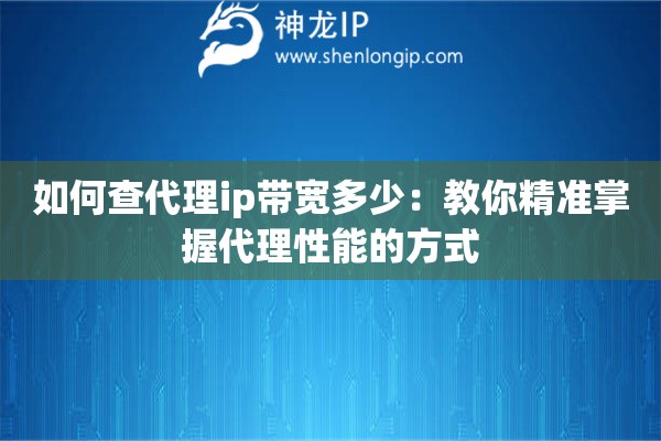 如何查代理ip带宽多少：教你精准掌握代理性能的方式