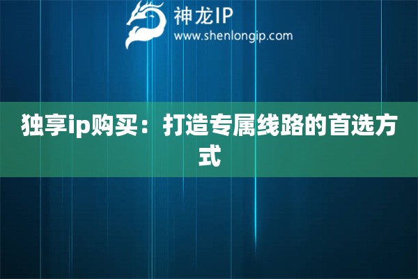 独享ip购买:打造专属线路的首选方式 独享ip购买:打造专属线路的首选方式
