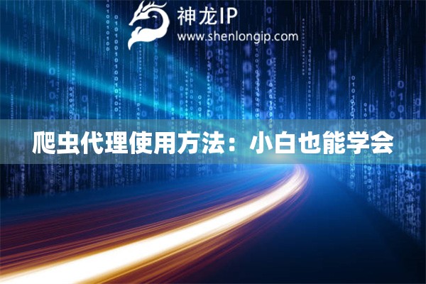 爬虫代理使用方法：小白也能学会