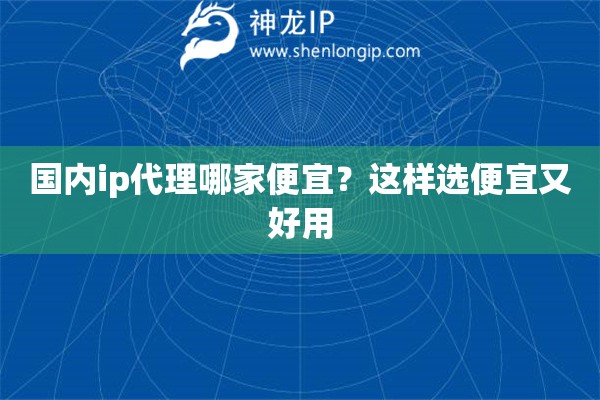 国内ip代理哪家便宜？这样选便宜又好用