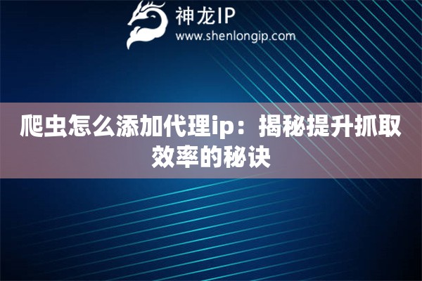 爬虫怎么添加代理ip：揭秘提升抓取效率的秘诀
