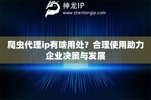 爬虫代理ip有啥用处？合理使用助力企业决策与发展